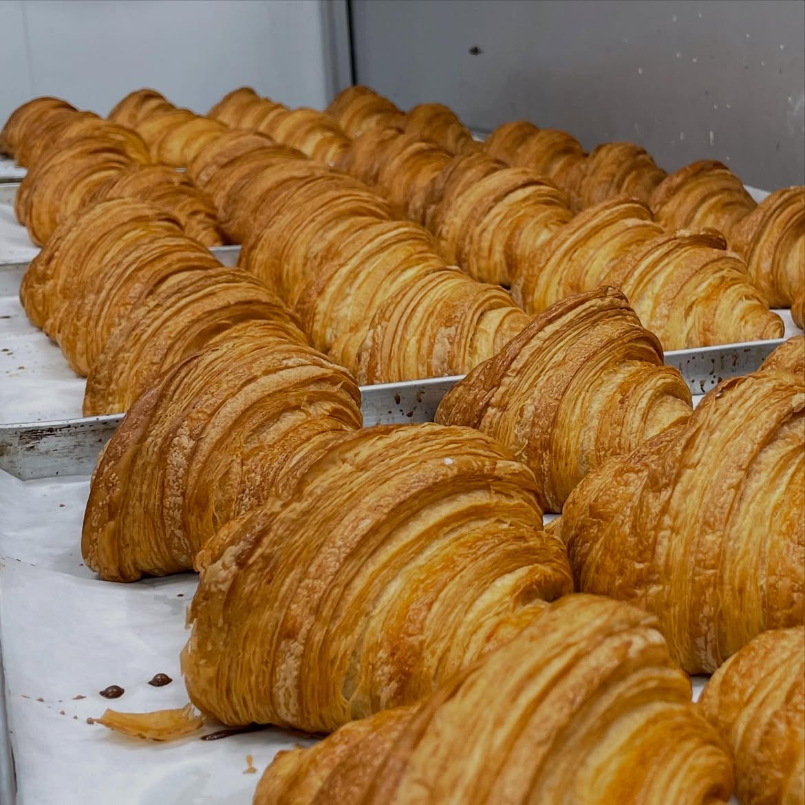 Fresh Croissants